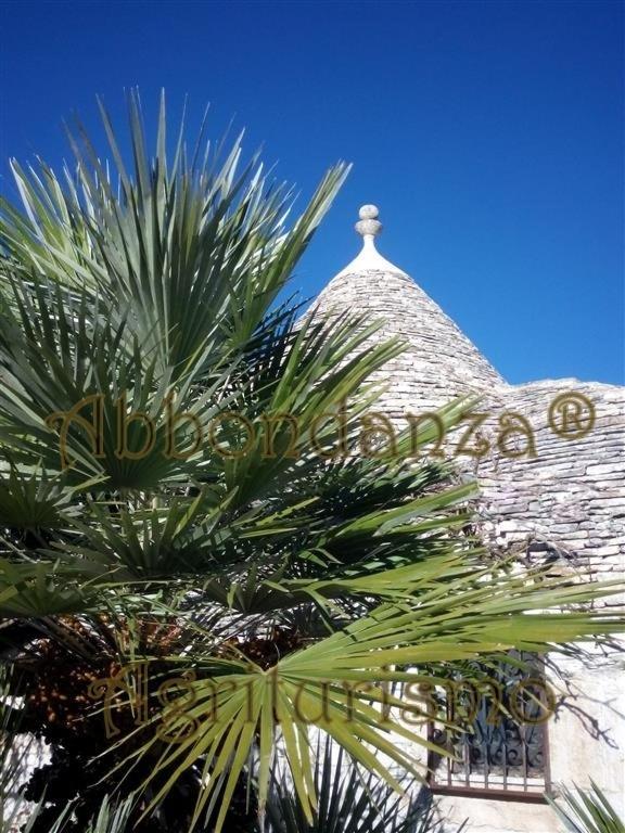 Agriturismo Abbondanza Villa Alberobello Eksteriør bilde