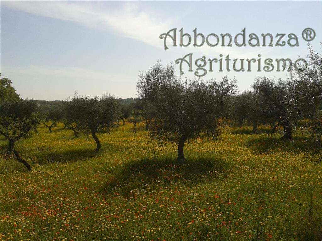 Agriturismo Abbondanza Villa Alberobello Eksteriør bilde