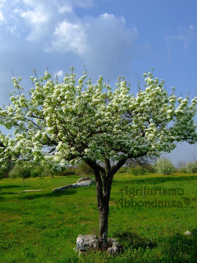 Agriturismo Abbondanza Villa Alberobello Eksteriør bilde