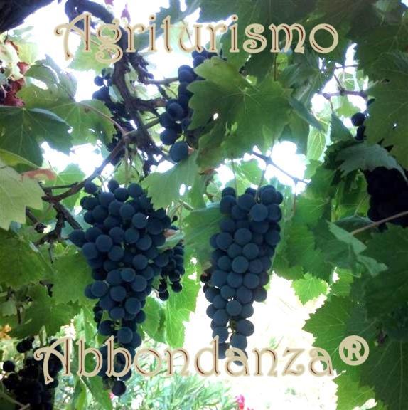 Agriturismo Abbondanza Villa Alberobello Eksteriør bilde